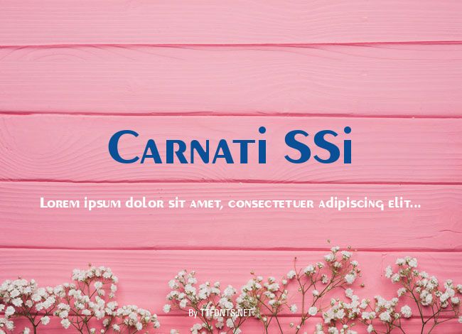 Carnati SSi example